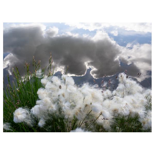 PHOTO84, CLUB, 84 , LUBERON